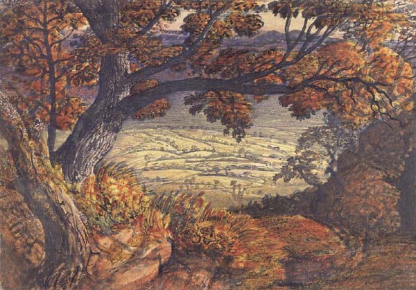 Samuel Palmer The Weald of Kent